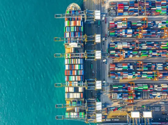 US container imports robust in February; inbound volume forecast dicier